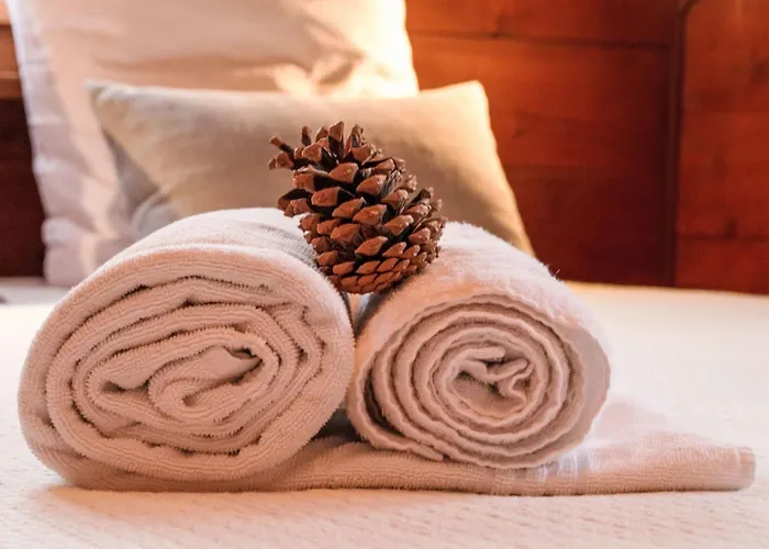 Derborence By Interhome Nendaz